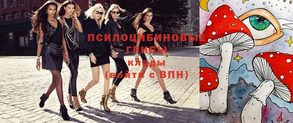 герыч Алексин