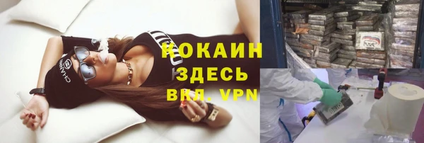 соль ск Алзамай