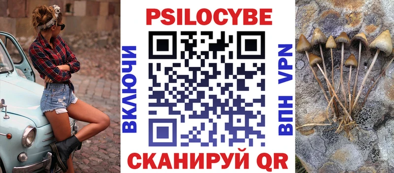 Псилоцибиновые грибы MAGIC MUSHROOMS  купить наркотики цена  Мегион 