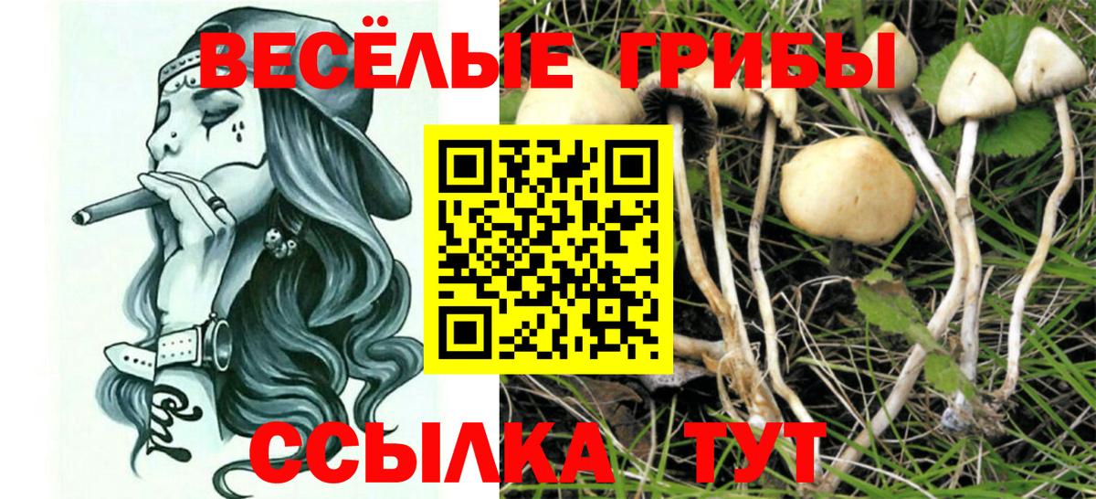 Мегион  Галлюциногенные грибы Psilocybe  Вход с VPN 